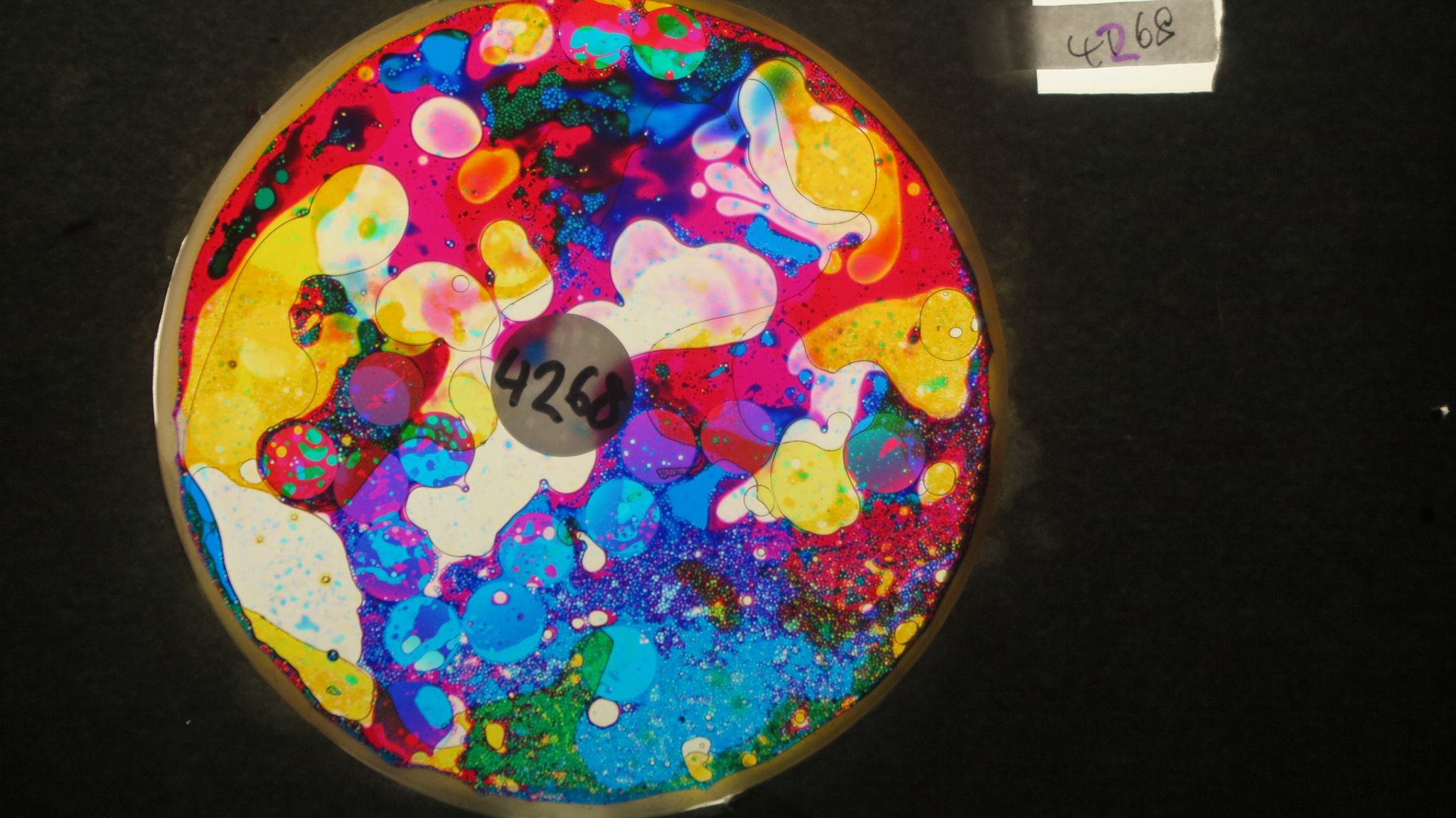 BV4268 bubble vision oil wheel